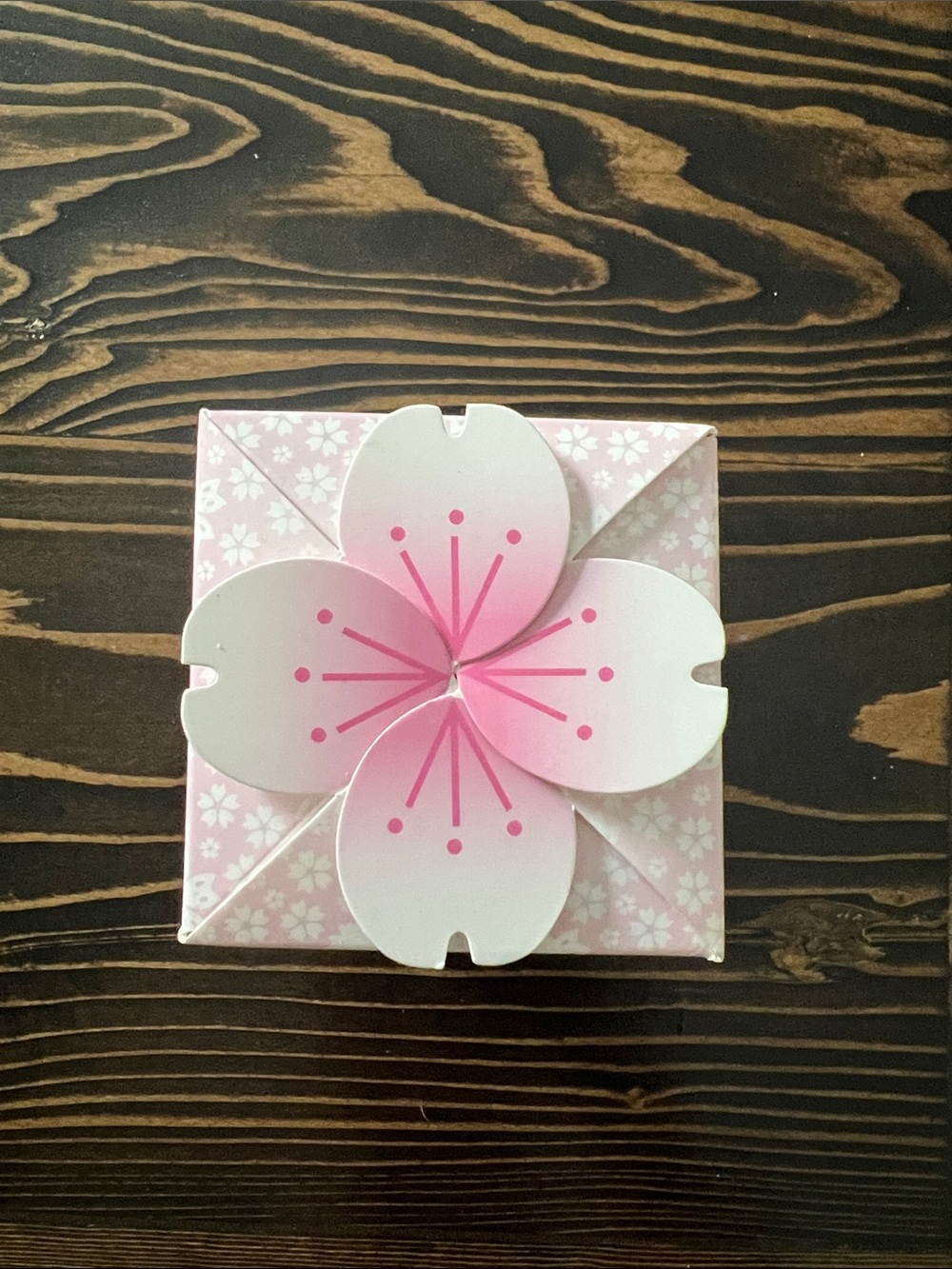 tokidoki Hello Kitty Cherry Blossom Series 3 mystery box. - Picture 6 of 6